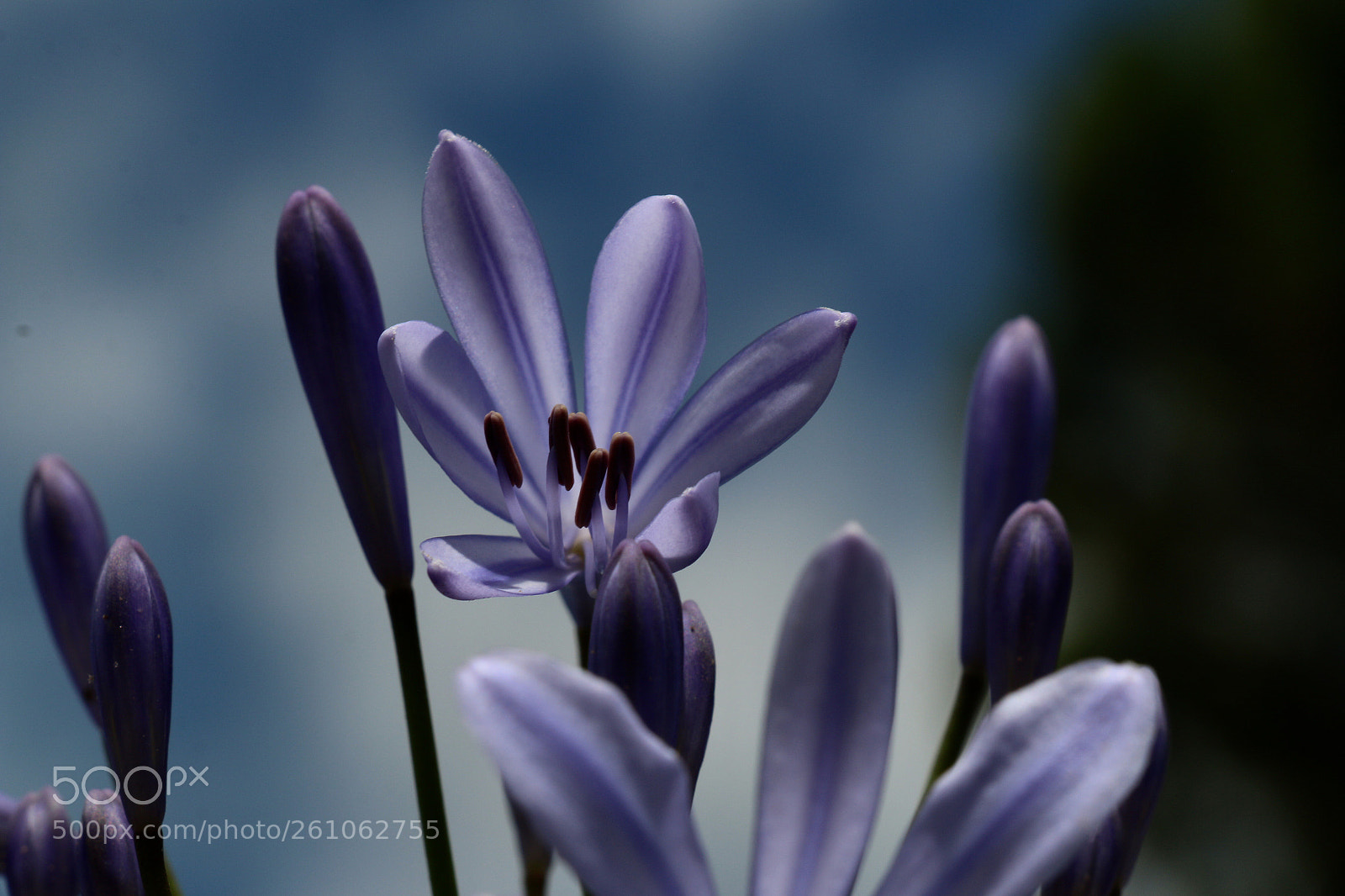 Canon EOS 70D sample photo. Untitled photography