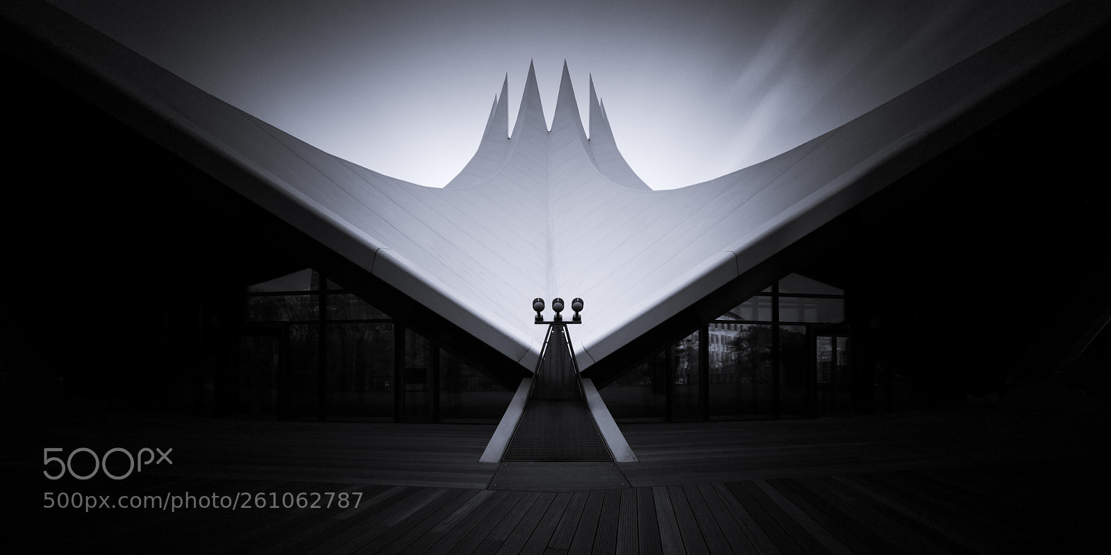 Sony a7R II sample photo. C r o w photography