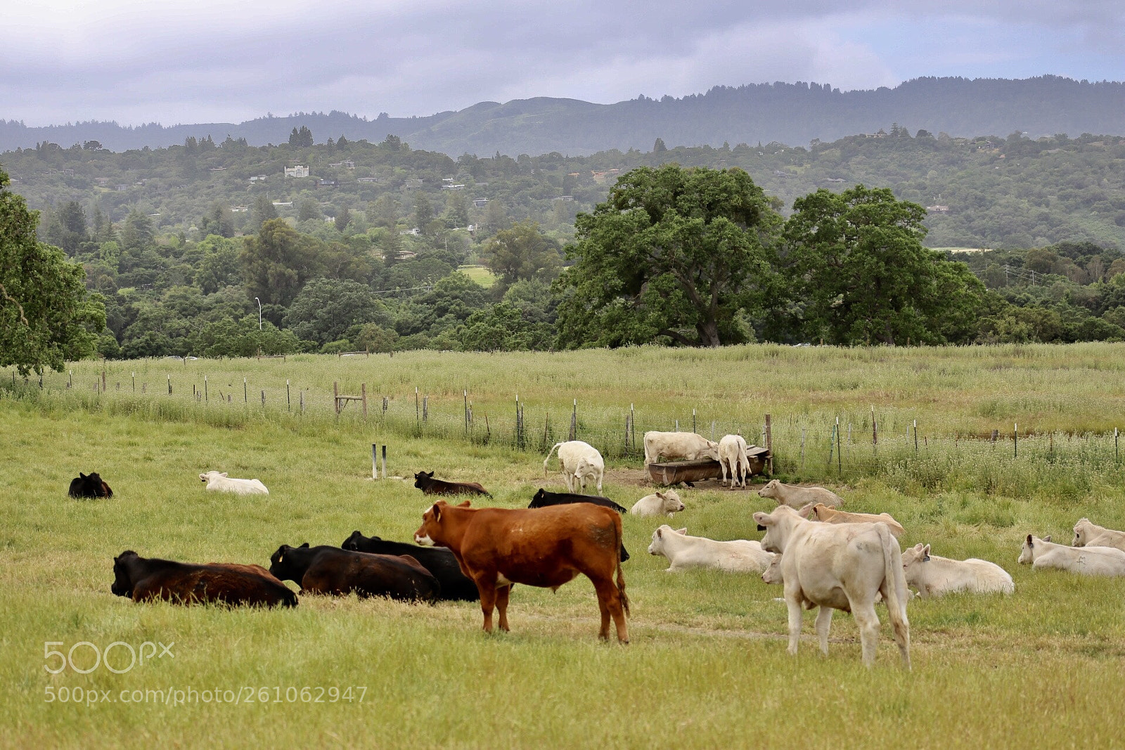Canon EOS 6D sample photo. Untitled photography