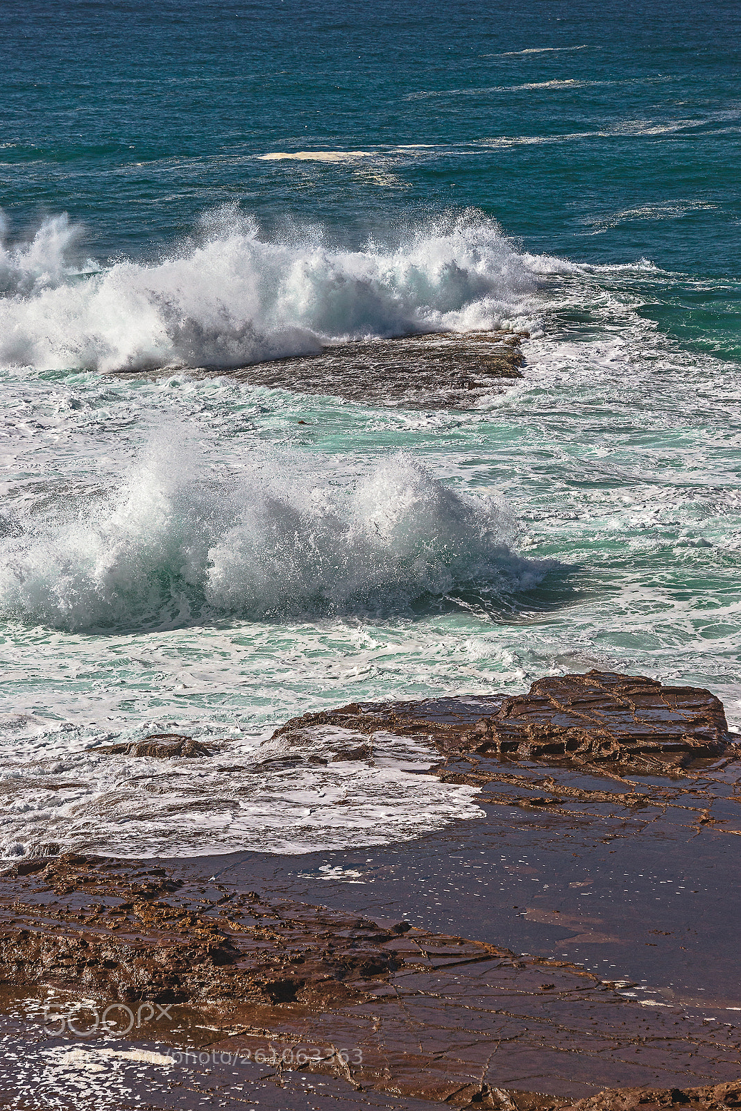 Nikon D610 sample photo. Nature aroused photography