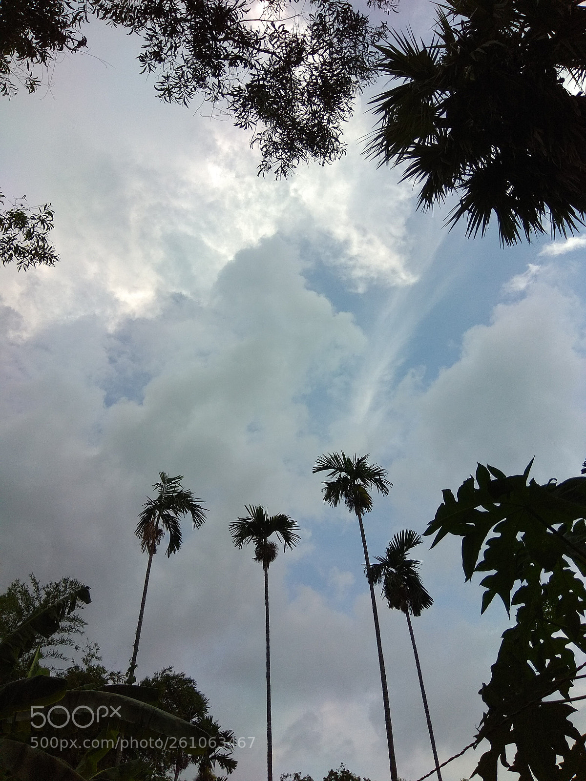 Xiaomi Redmi Note 4 sample photo. Untitled photography