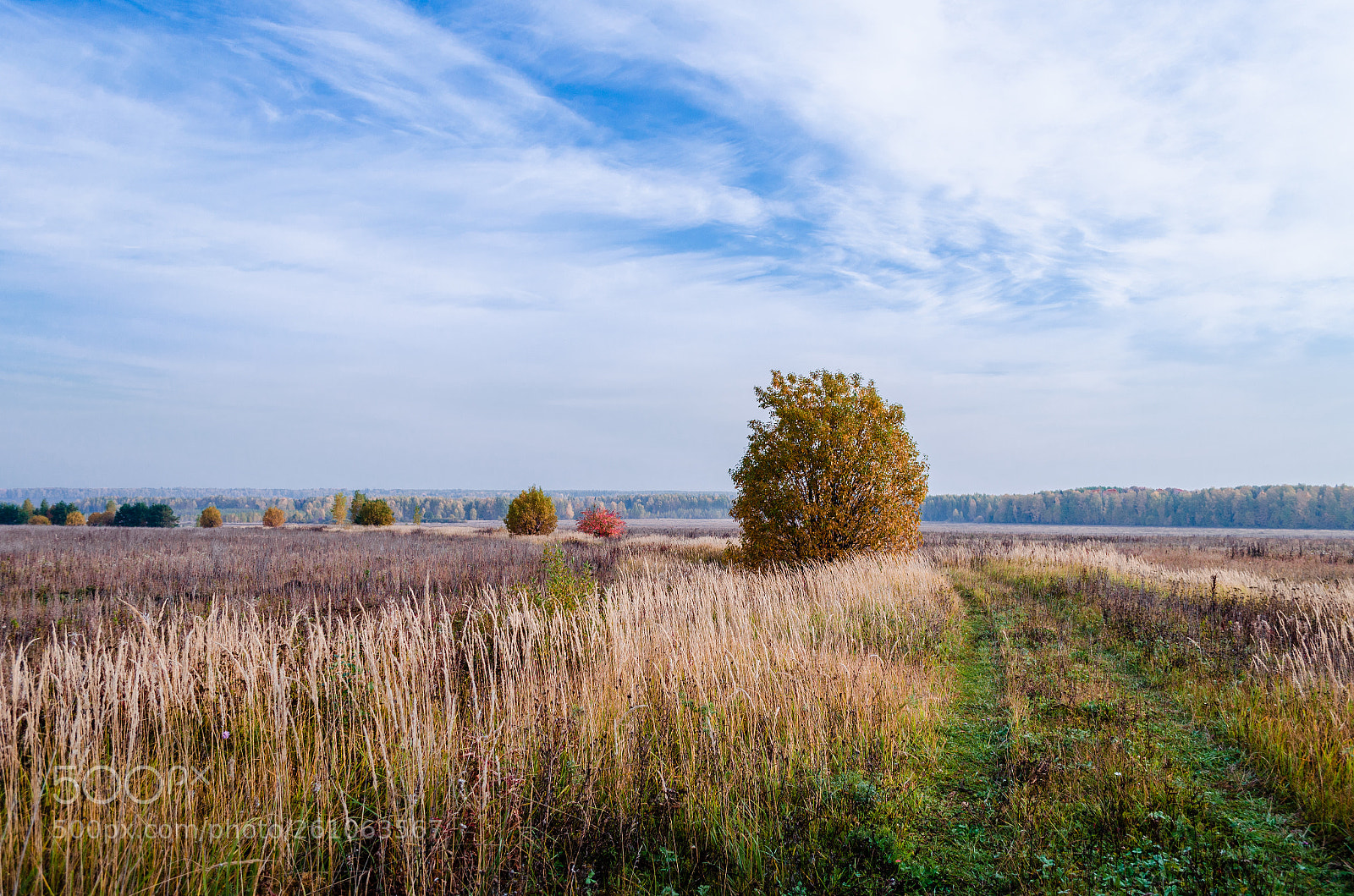 Nikon D5100 sample photo. Horizon photography