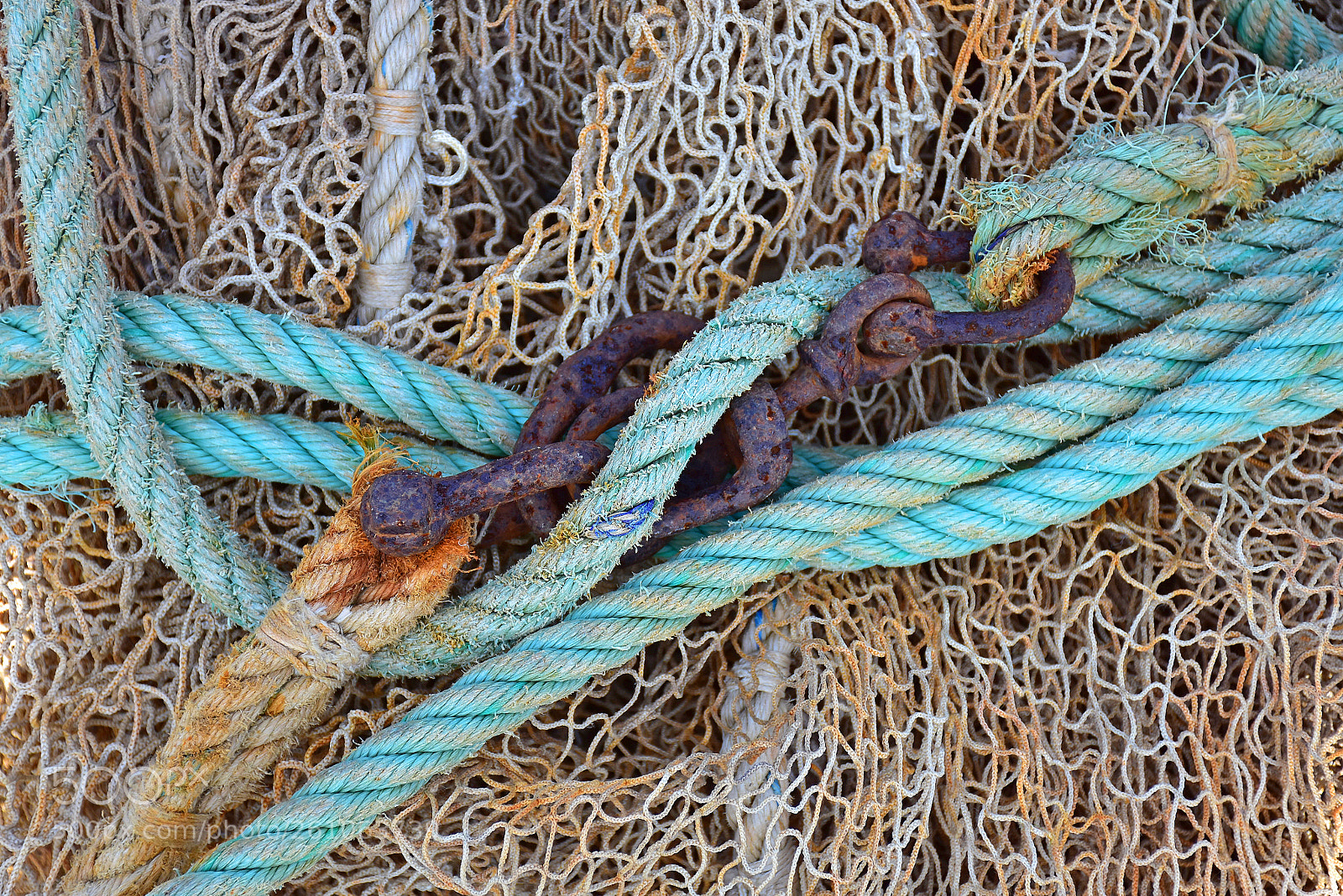 Nikon D7200 sample photo. Rusty connection photography