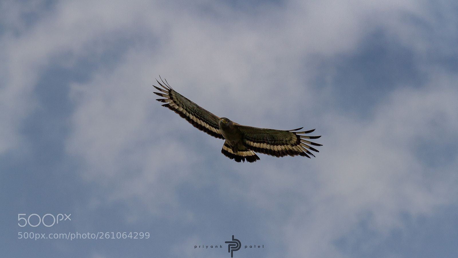 Canon EOS 7D sample photo. Flying high photography