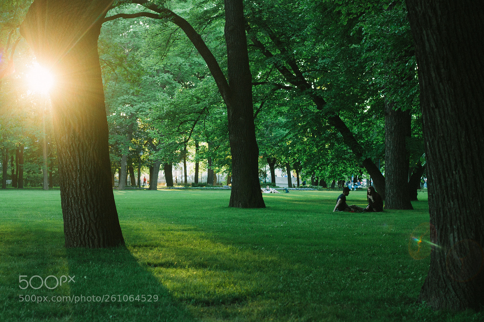 Canon EOS 50D sample photo. Pair photography
