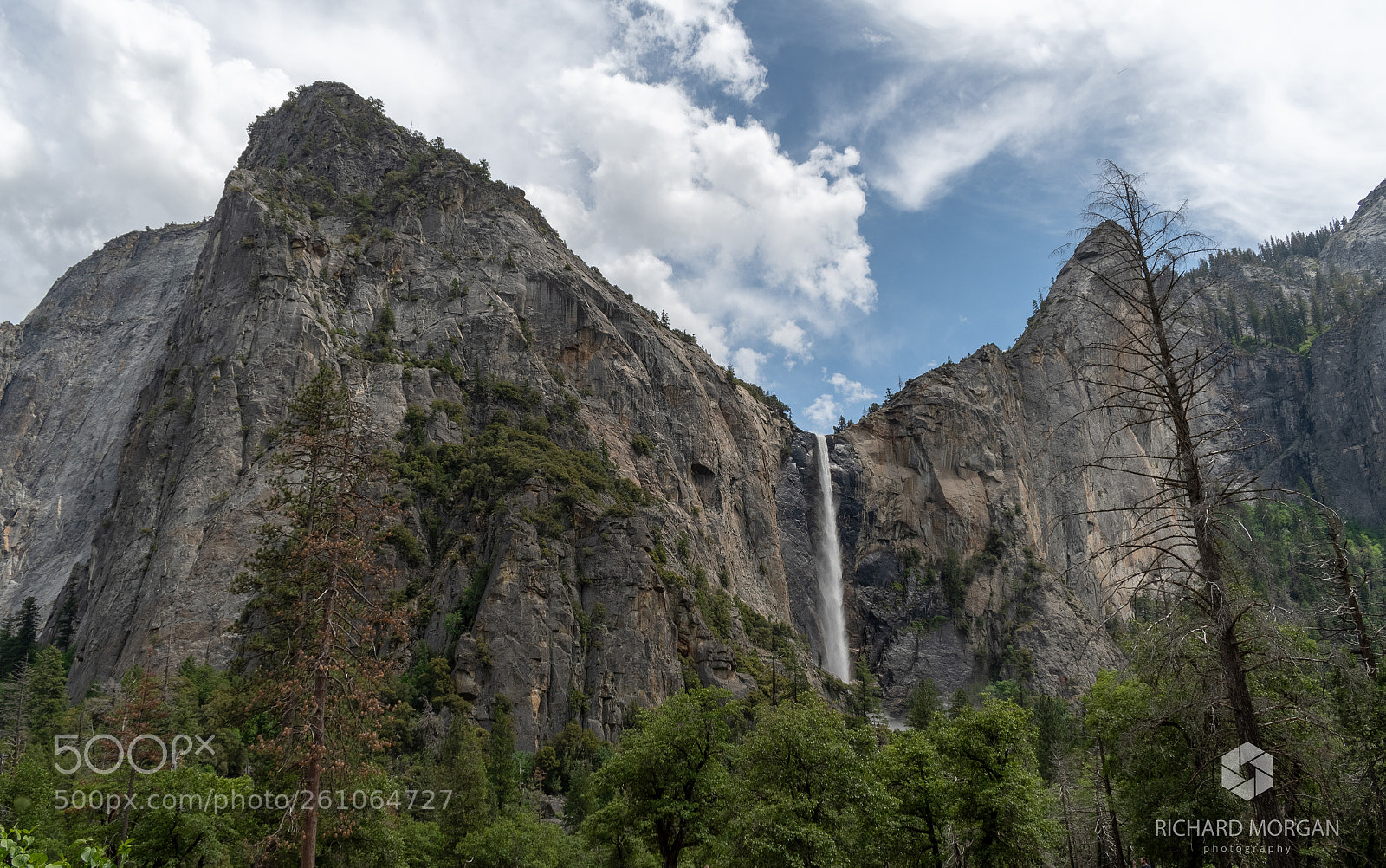 Nikon D500 sample photo. Yosemite national park photography