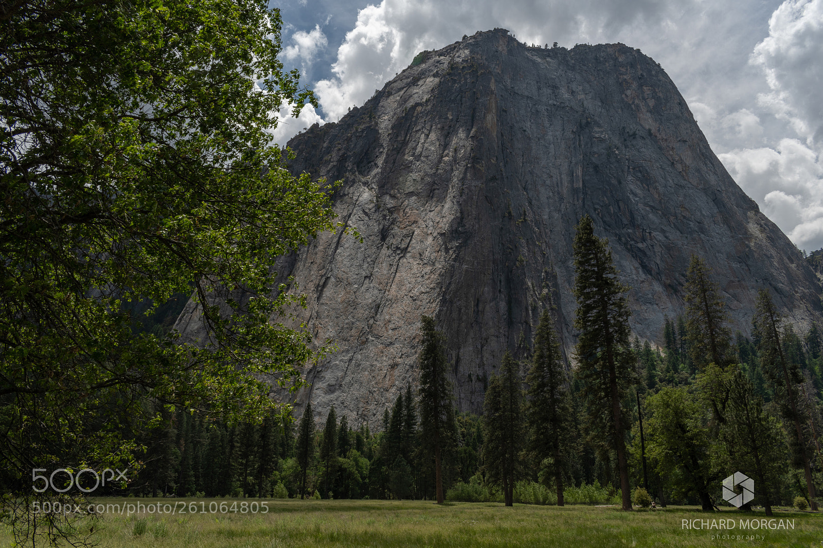 Nikon D500 sample photo. Yosemite national park photography