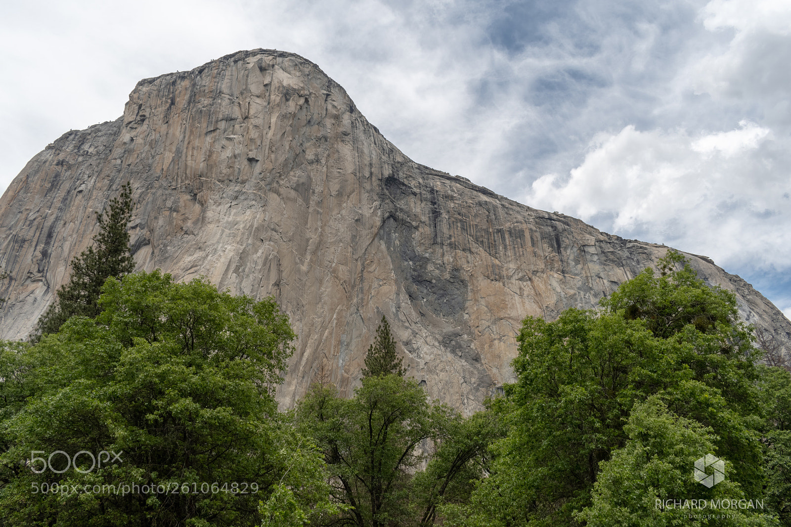 Nikon D500 sample photo. Yosemite national park photography