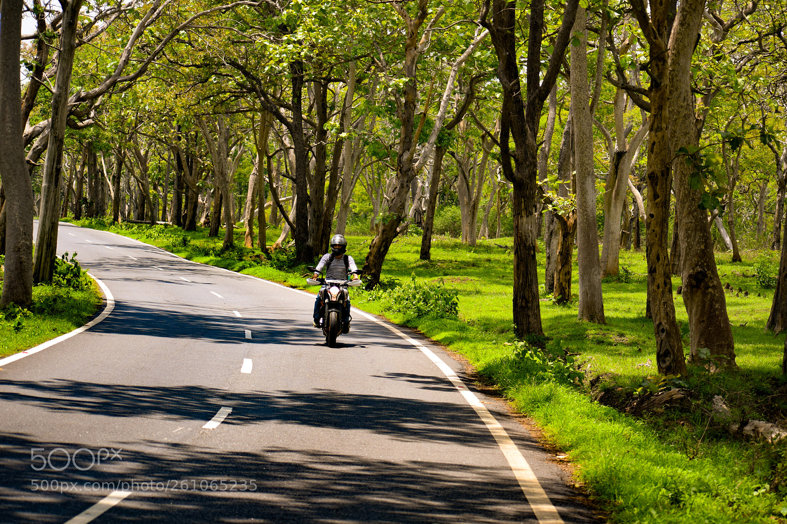 Nikon D3300 sample photo. Lone rider on a photography
