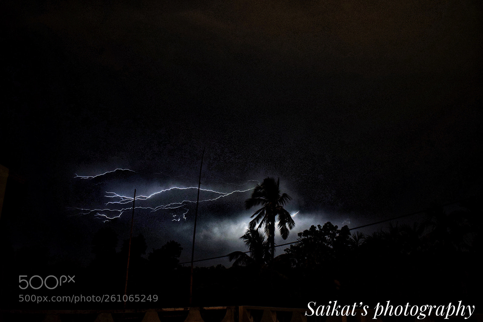 Nikon D5300 sample photo. Untitled photography