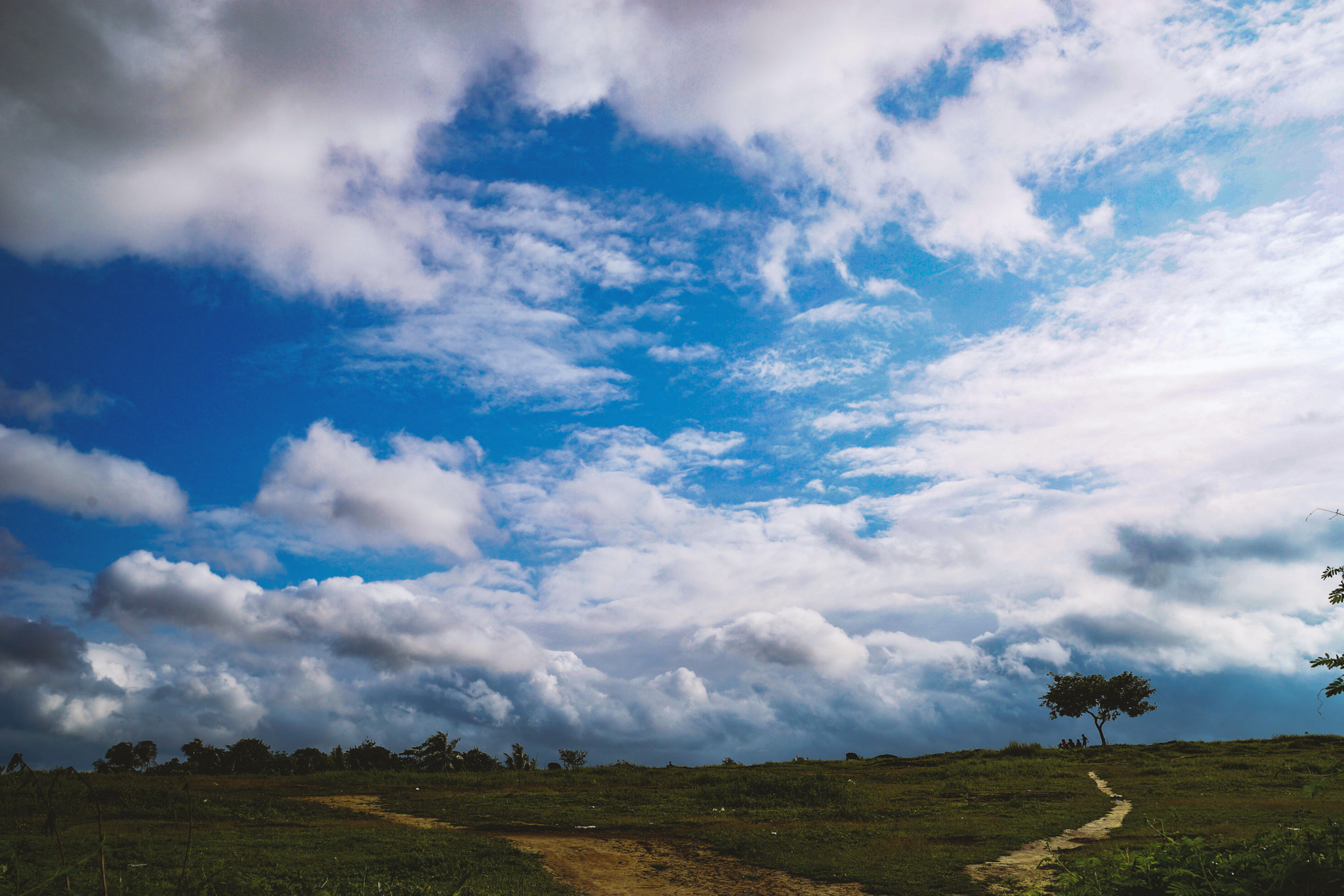 Sony a99 II sample photo. Blue sky photography