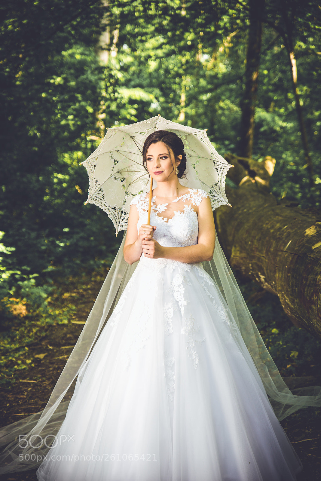 Nikon D610 sample photo. Beautiful bride eva in photography