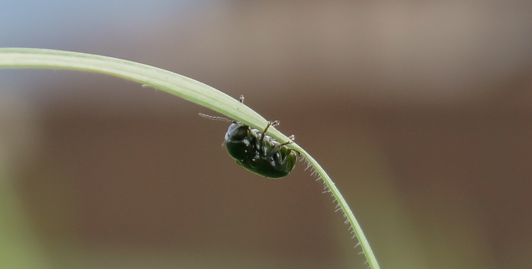 Sony Alpha NEX-7 sample photo. Jeder aufstieg ist schwer  photography