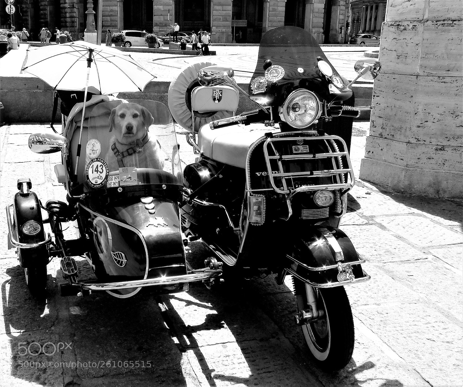 Canon PowerShot SX60 HS sample photo. Vespa dog photography