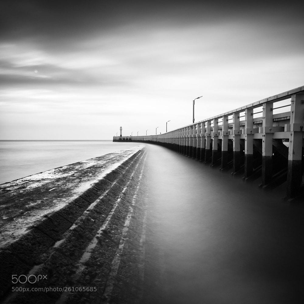 Nikon D610 sample photo. The north sea photography