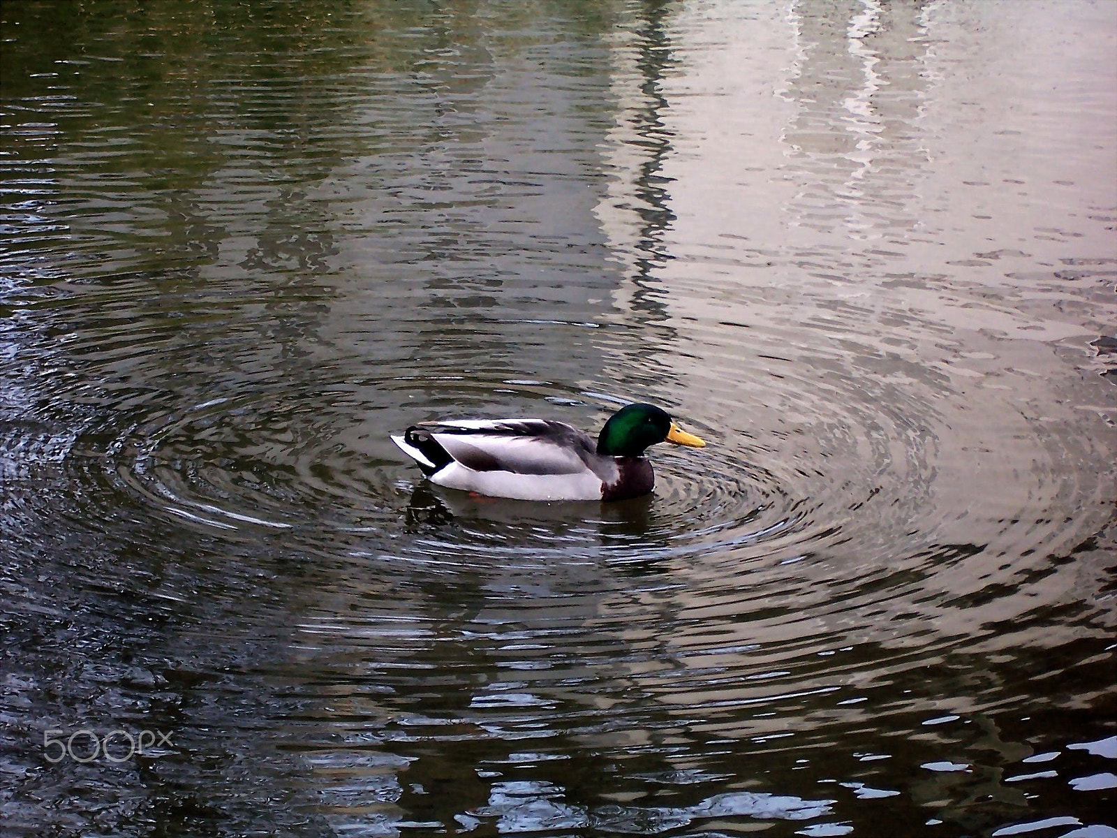 Kodak DX7440 ZOOM DIGITAL CAMERA sample photo. Col vert - parc de bercy photography