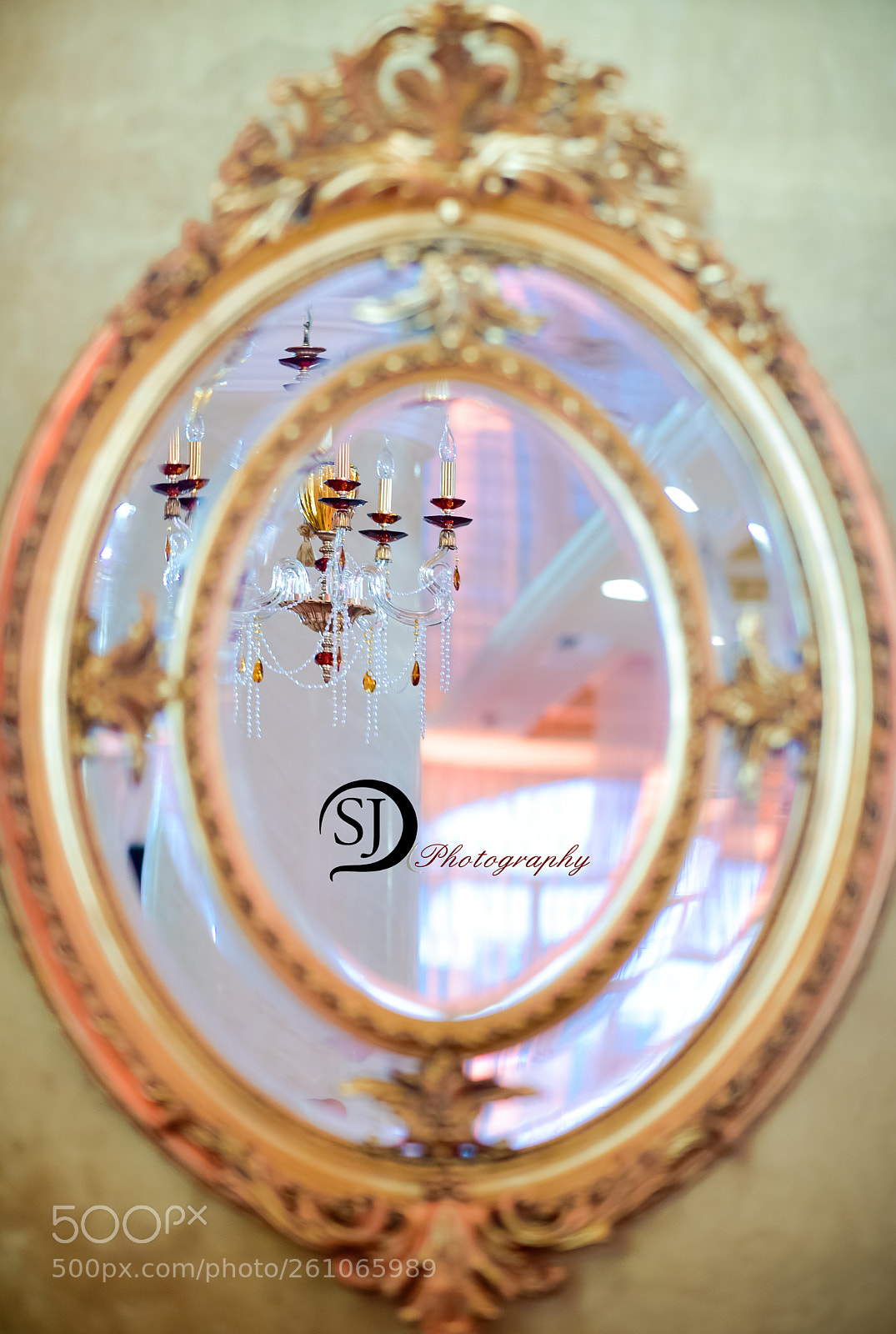 Nikon D810 sample photo. Untitled photography