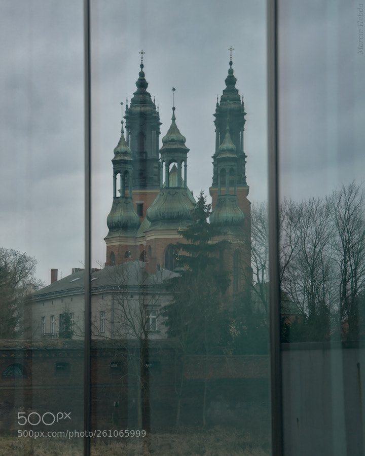 Nikon D5100 sample photo. #064 photography