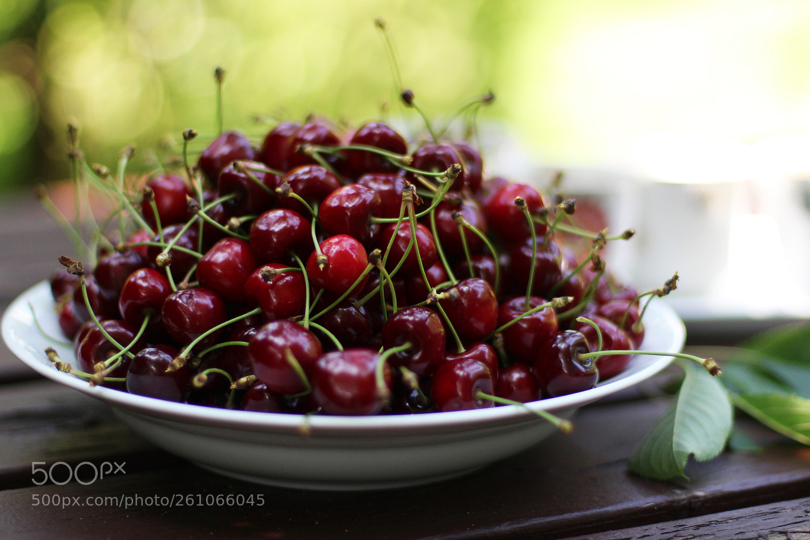 Canon EOS 100D (EOS Rebel SL1 / EOS Kiss X7) sample photo. Cherry harvest photography