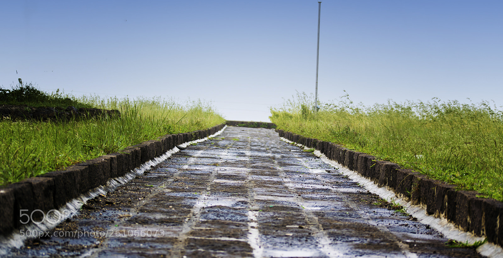 Nikon D5300 sample photo. Pathway photography