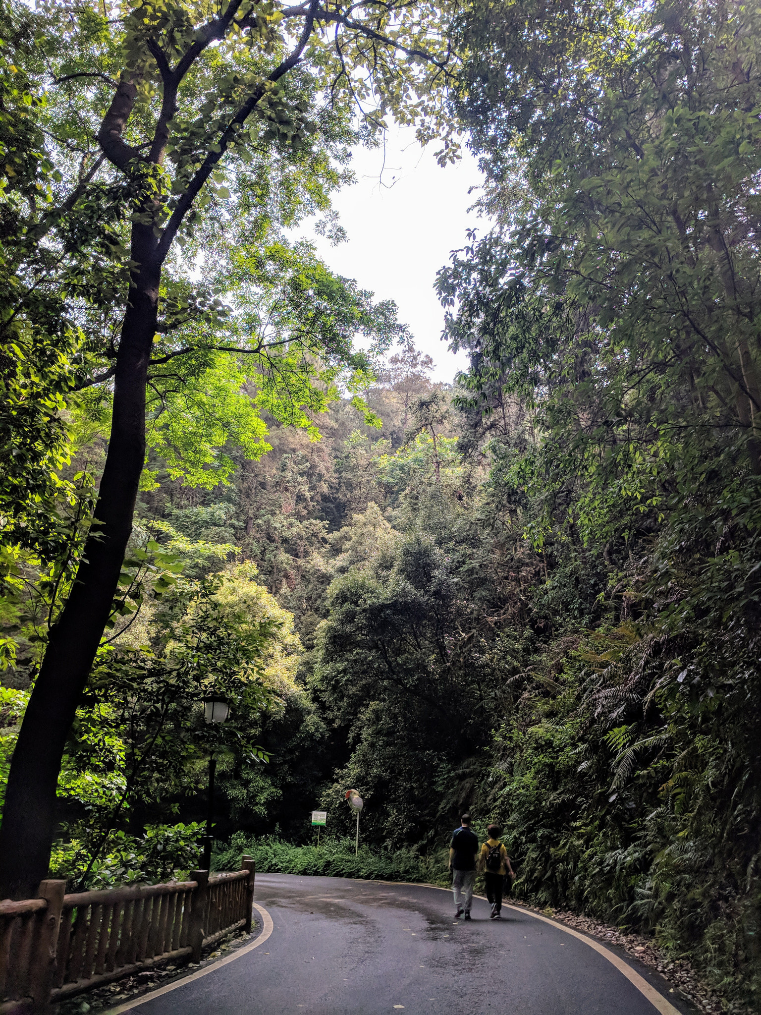 Google Pixel XL sample photo