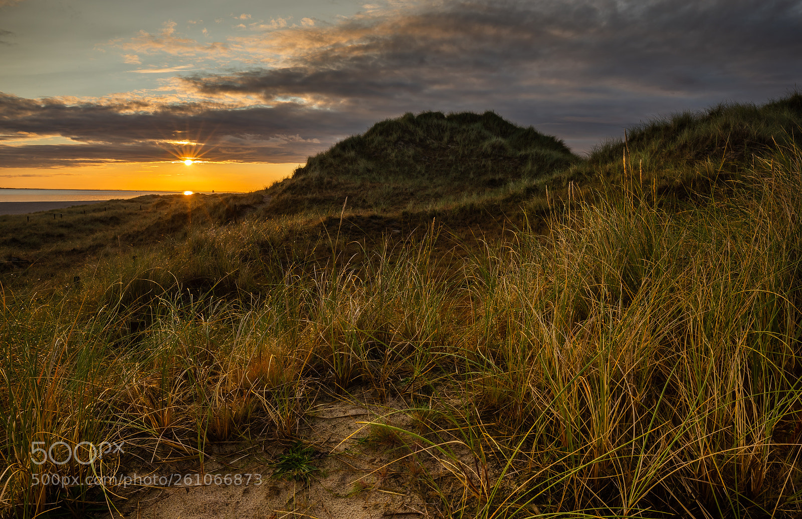 Canon EOS 6D sample photo. In the dunes on photography