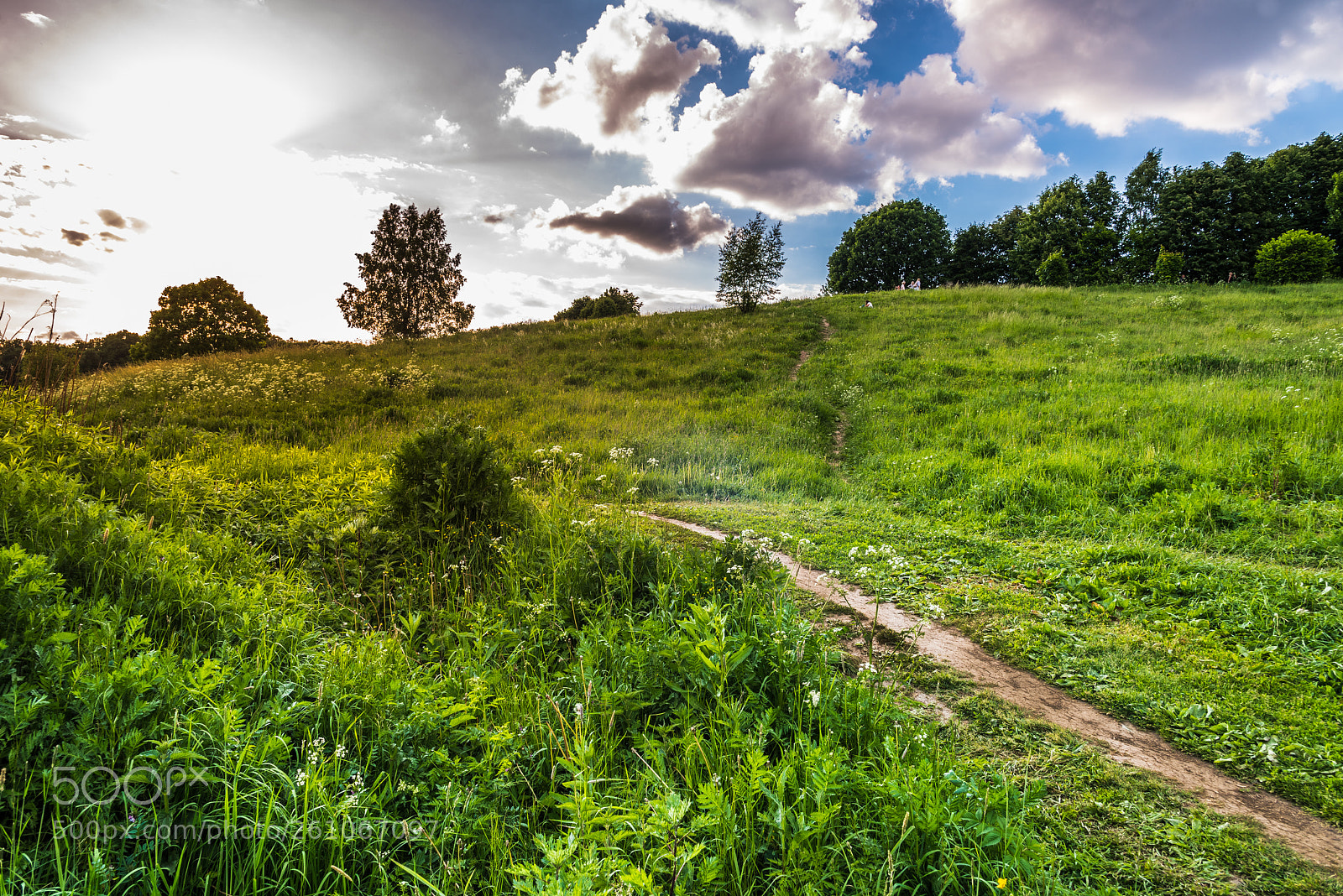 Nikon D750 sample photo. Summer has come photography