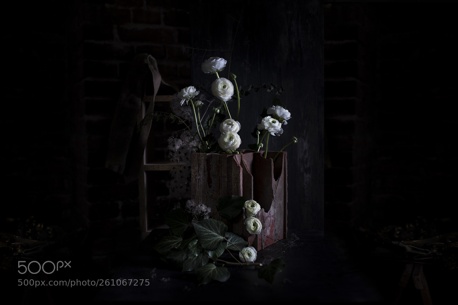 Nikon D810 sample photo. Stealing beauty 4 in photography