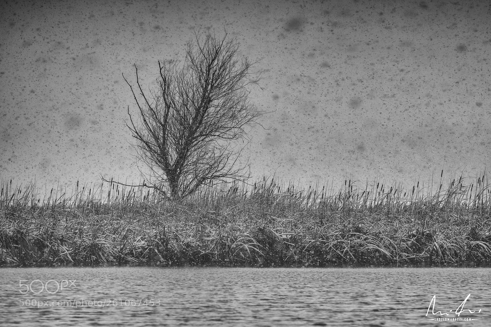 Nikon D7200 sample photo. A winter day photography