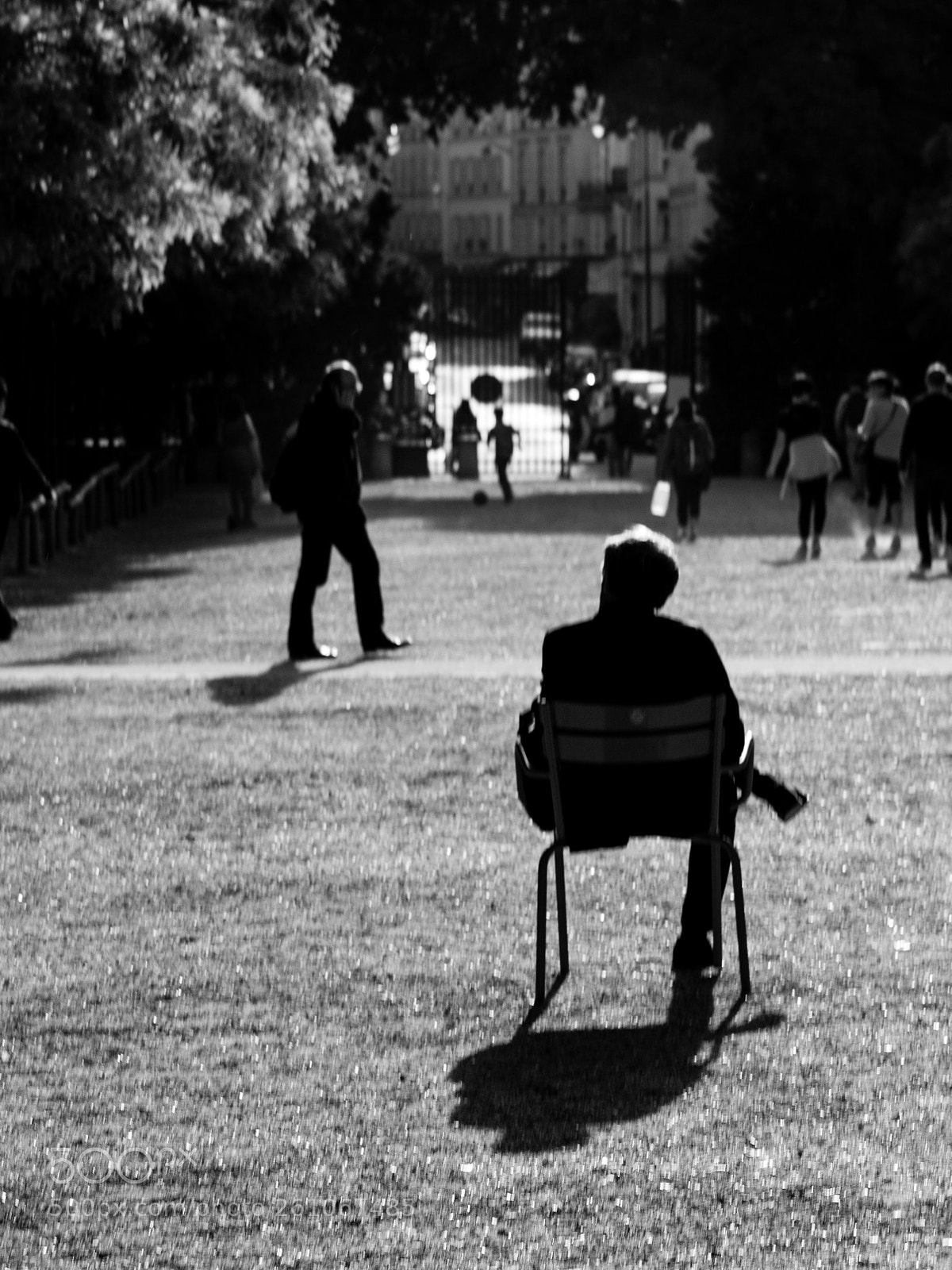 Canon EOS 550D (EOS Rebel T2i / EOS Kiss X4) sample photo. In the sun photography