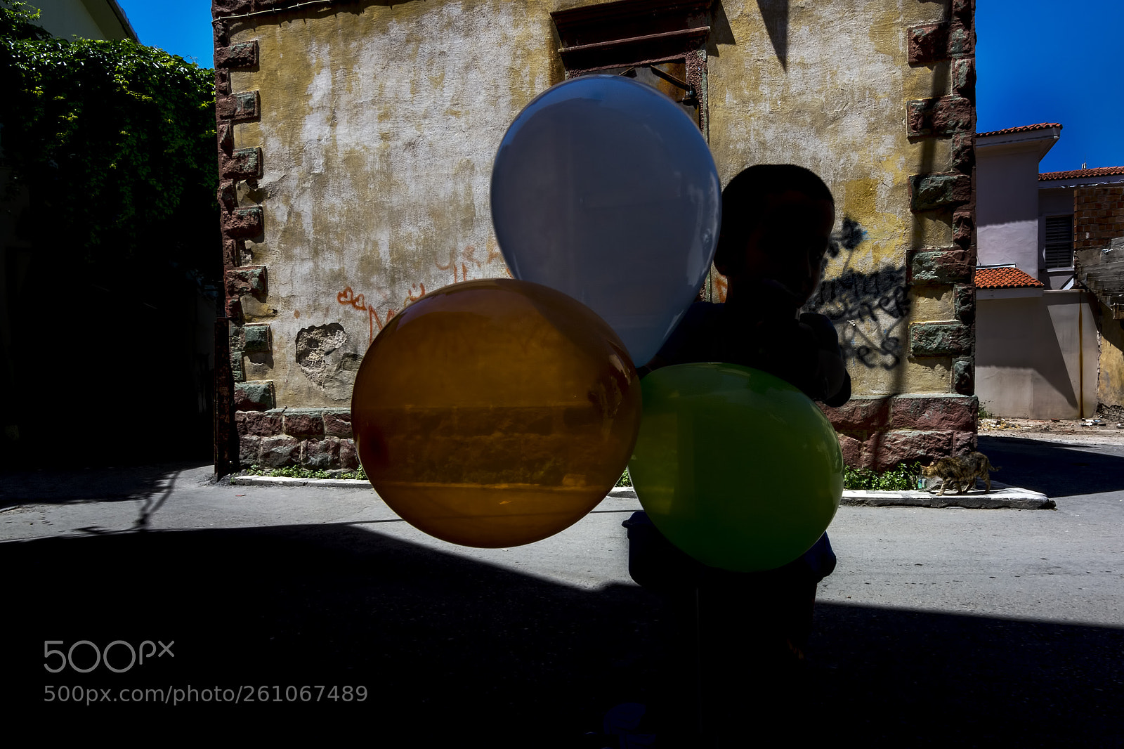 Nikon D5200 sample photo. Balloons photography