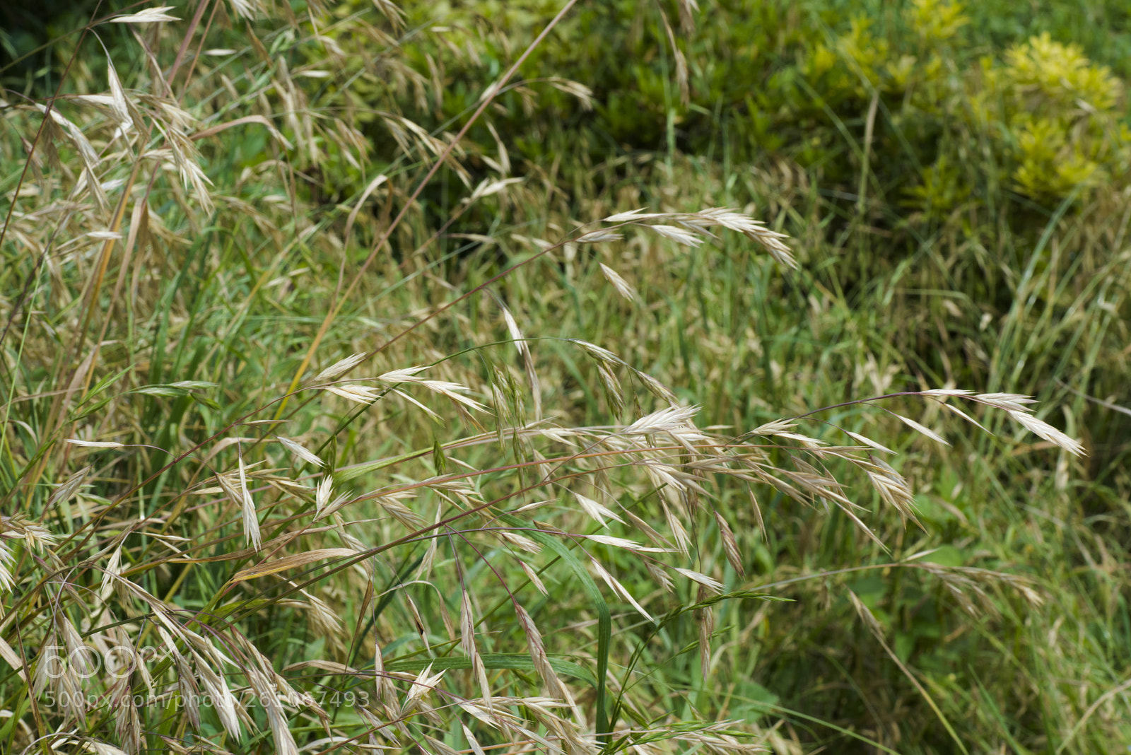 Nikon D810 sample photo. In a world   no.25 photography