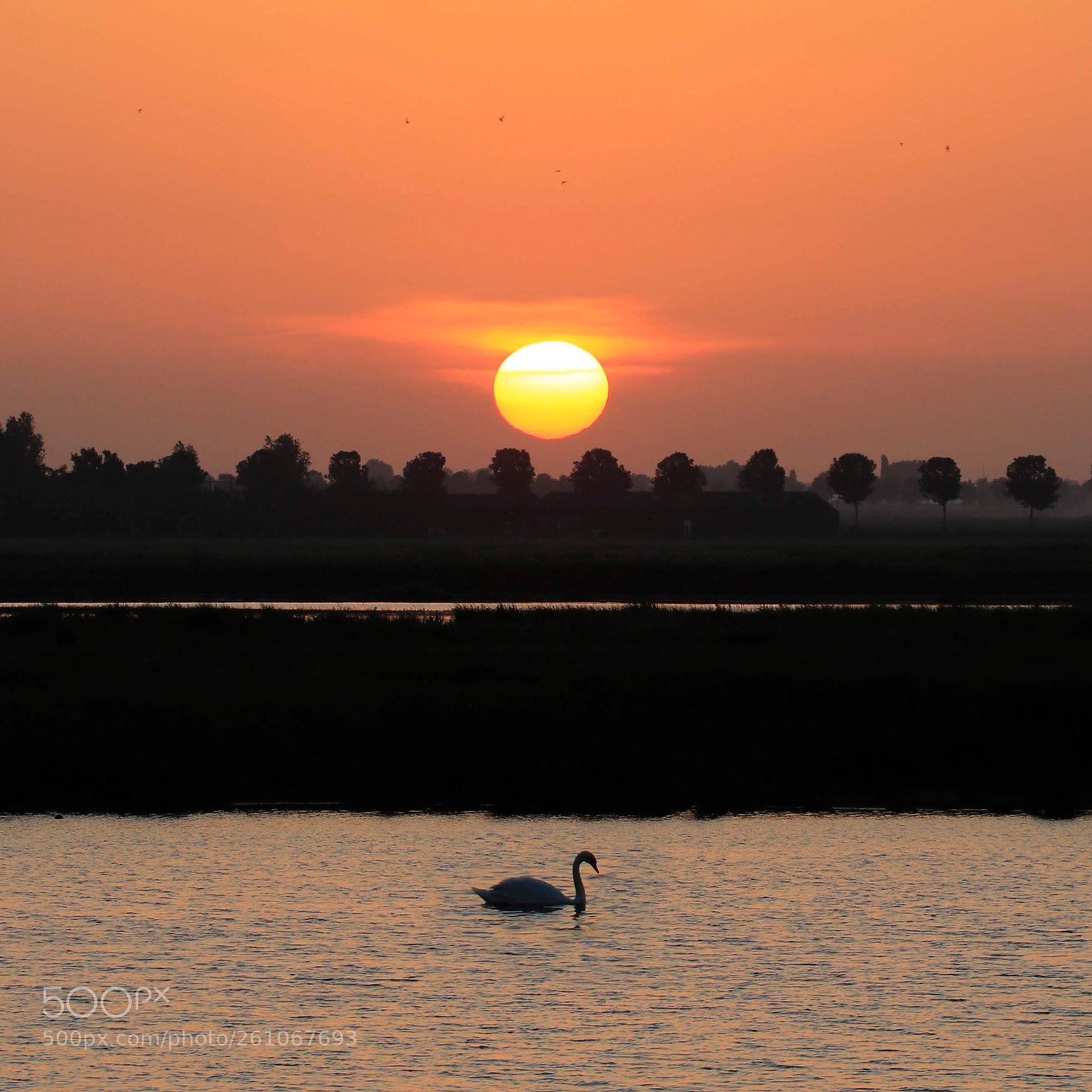 Canon EOS 80D sample photo. Sunset in holland  photography