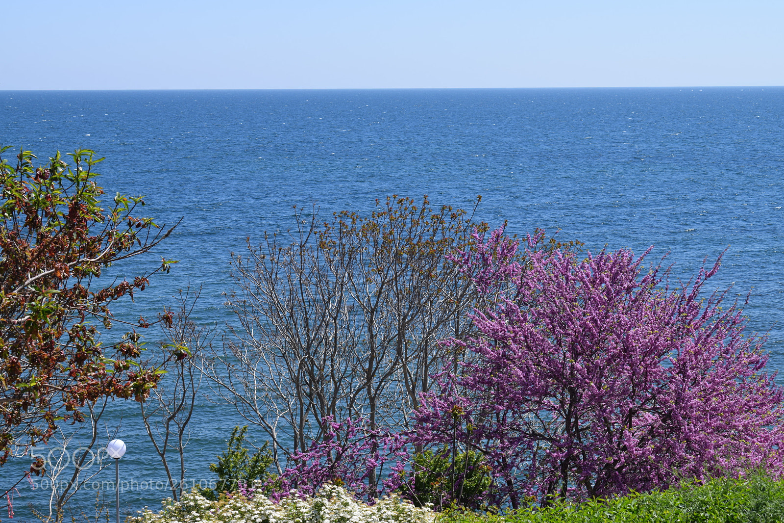 Nikon D3300 sample photo. Black sea photography