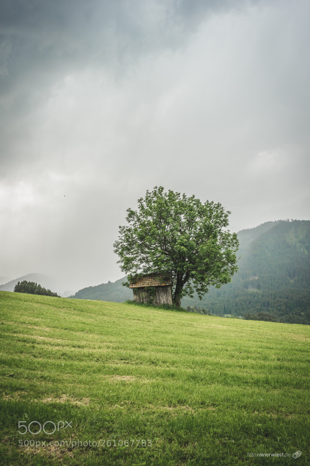 Sony a7 II sample photo. Jungholz photography