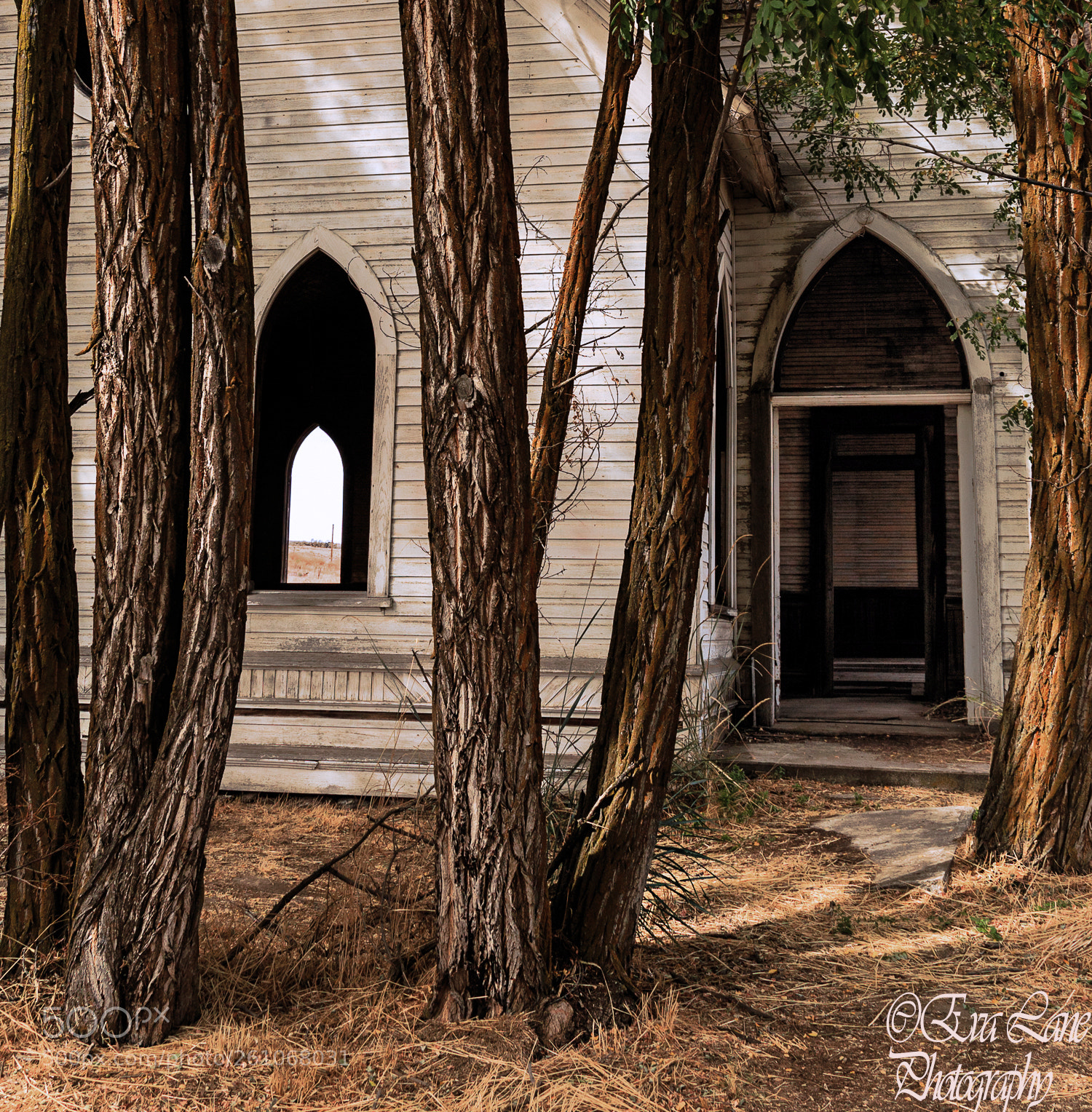 Canon EOS 6D sample photo. The guardians photography