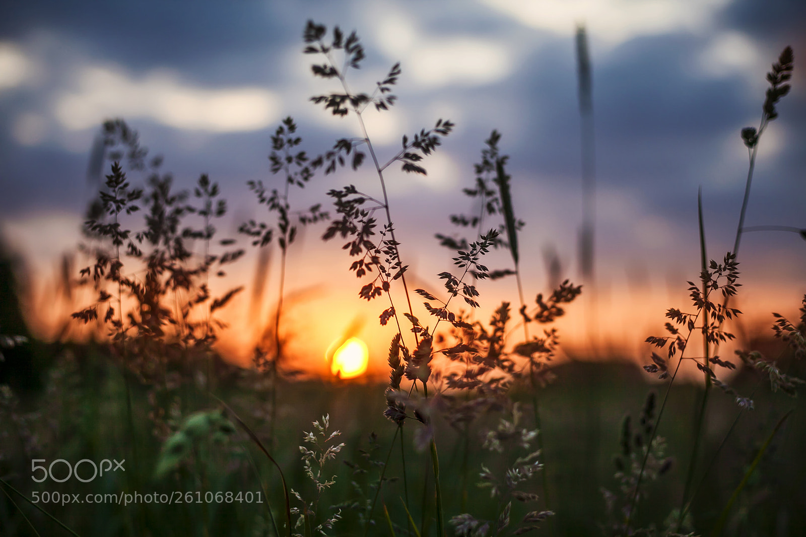 Canon EOS 5D Mark II sample photo. Normal sunset photography