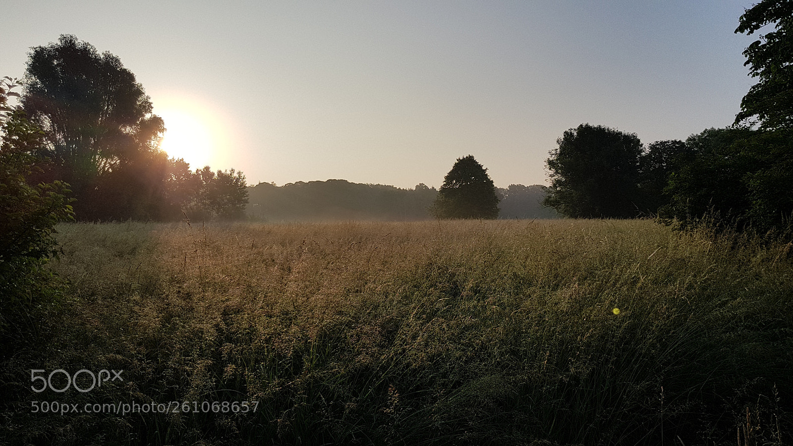 Samsung Galaxy S8 sample photo. Heathland at sunrise photography