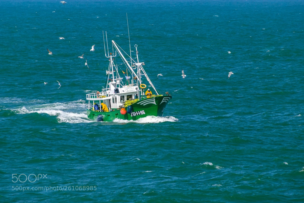 Nikon D3000 sample photo. Barco verde photography