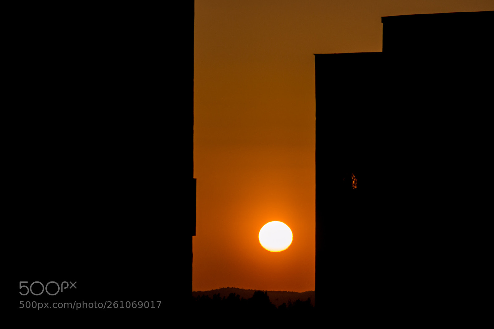Nikon D3100 sample photo. Morning view photography
