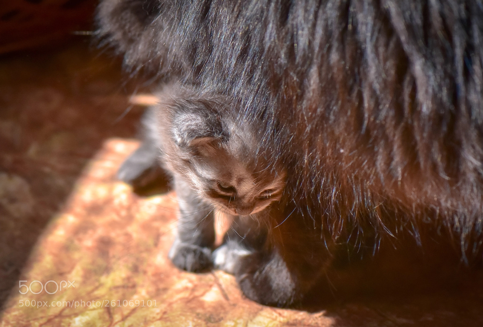 Nikon D750 sample photo. Andy's daughter photography