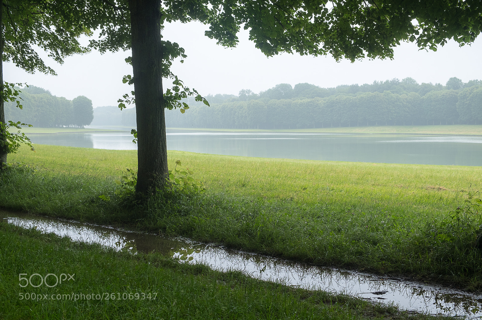 Fujifilm X-T20 sample photo. Rainy day photography