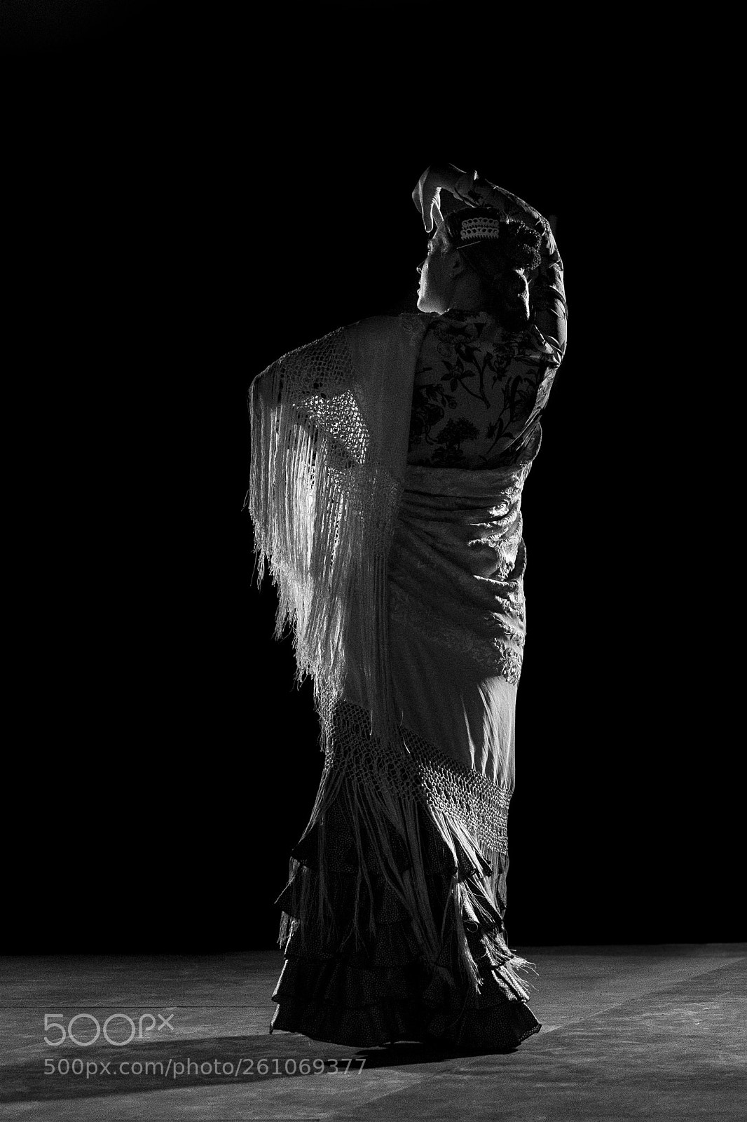 Canon EOS 6D sample photo. Flamenco en iznájar photography