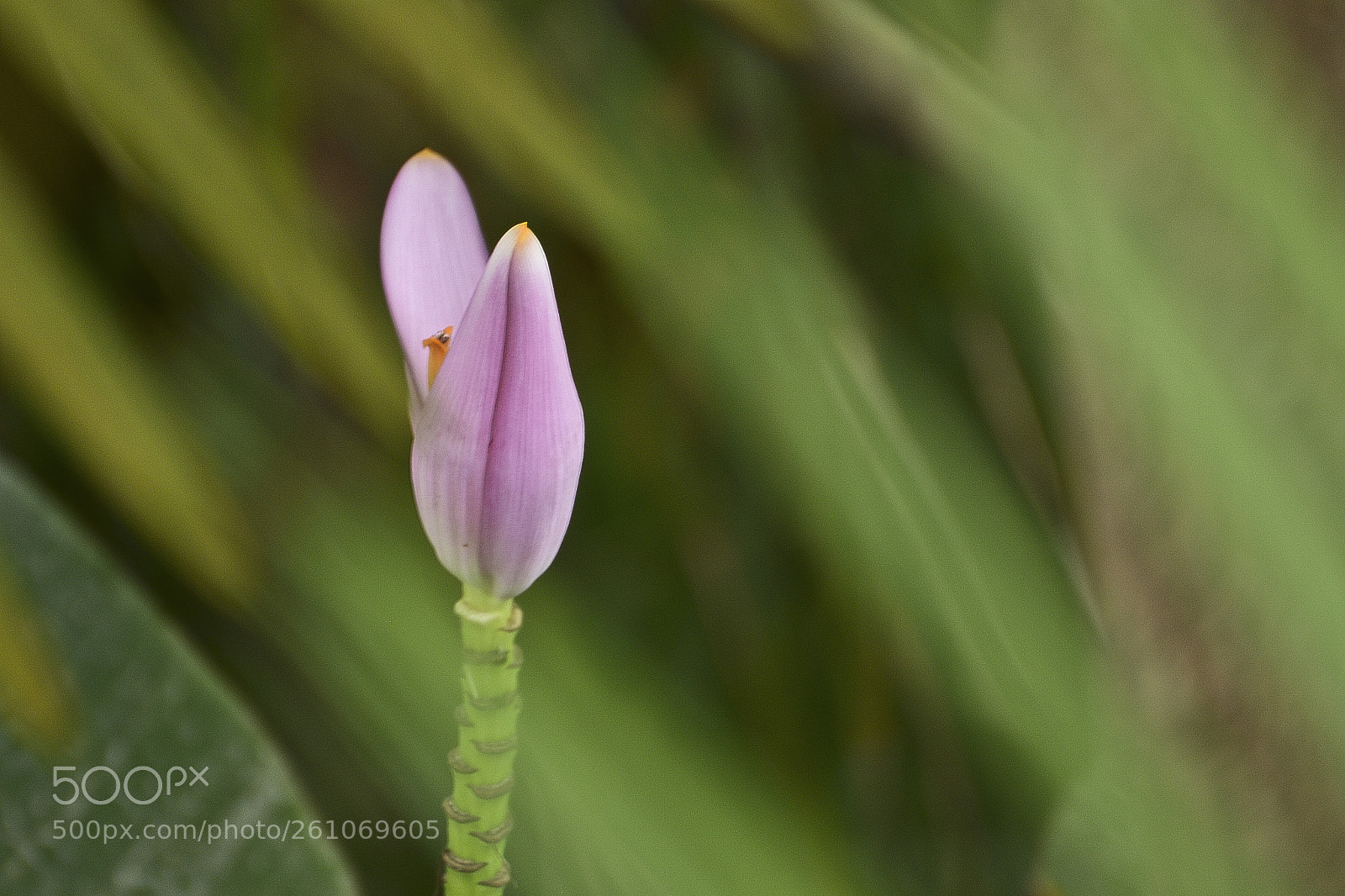 Nikon D7100 sample photo. Na imensid o do photography