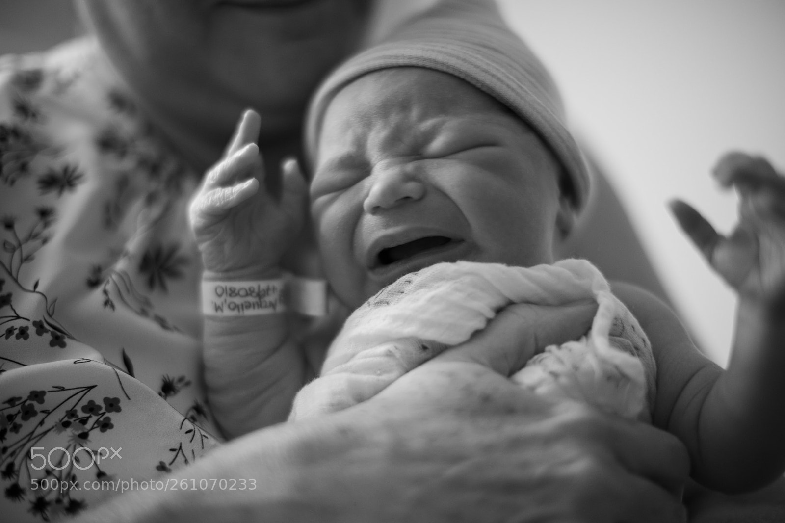 Canon EOS 5D Mark IV sample photo. Rodrigo andres photography