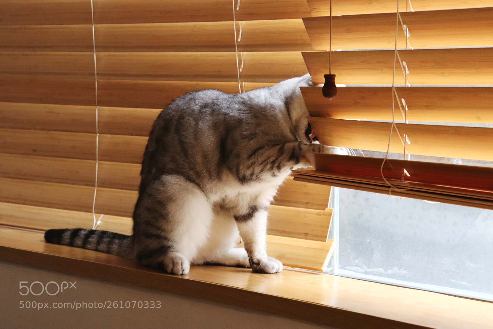 Canon EOS 77D (EOS 9000D / EOS 770D) sample photo. Untitled photography
