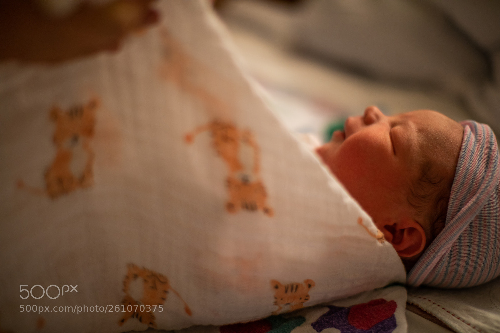Canon EOS 5D Mark IV sample photo. Rodrigo andres photography