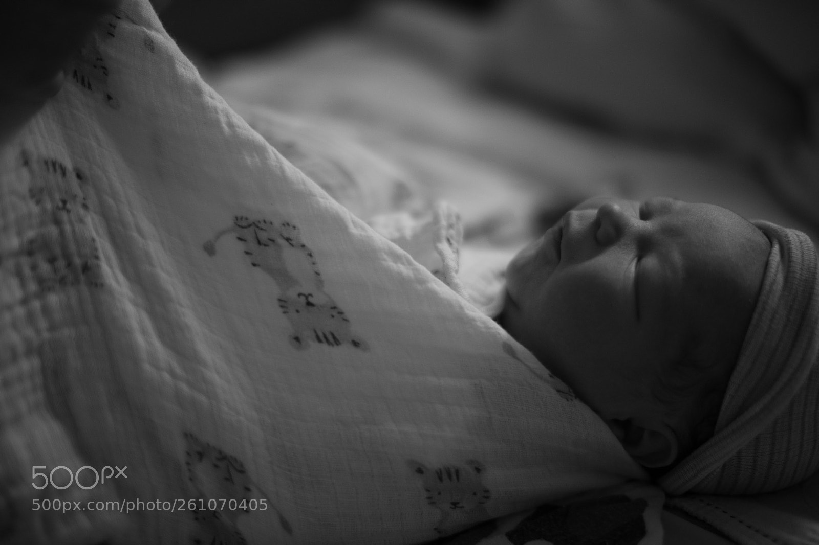 Canon EOS 5D Mark IV sample photo. Rodrigo andres photography