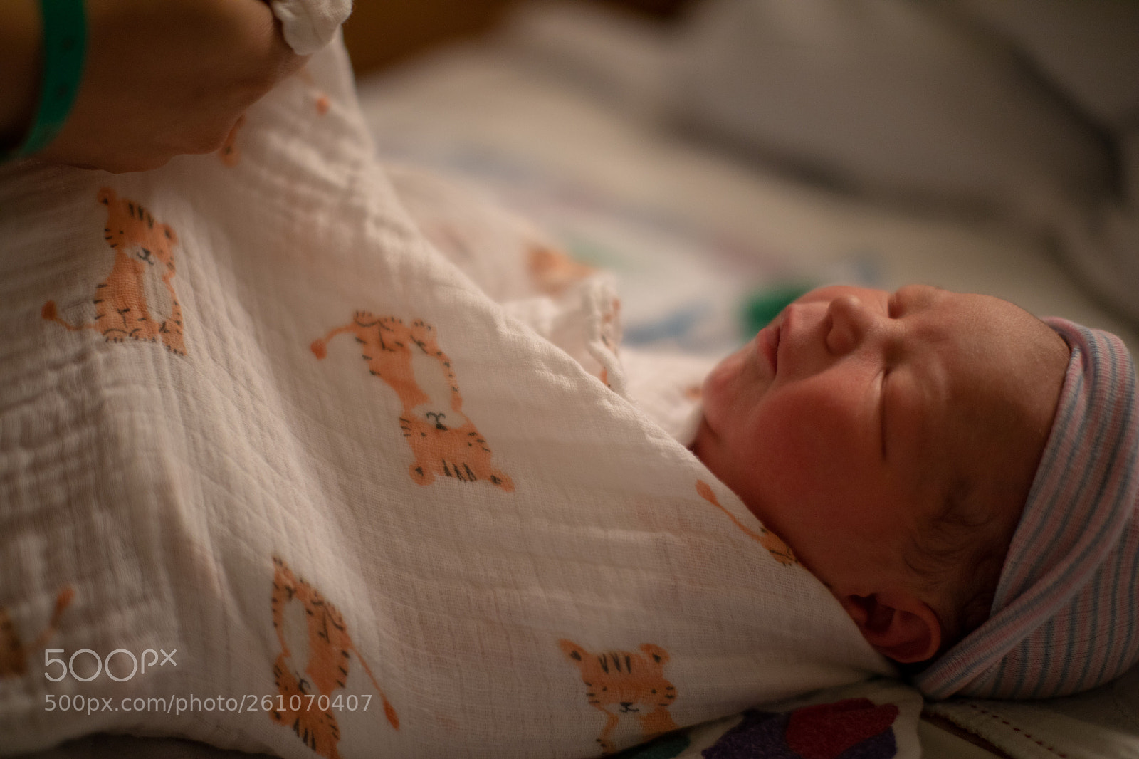 Canon EOS 5D Mark IV sample photo. Rodrigo andres photography