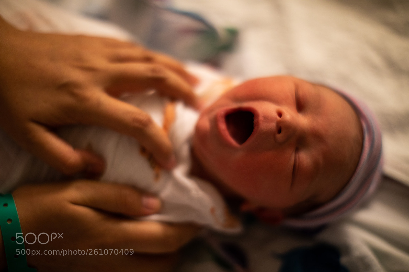 Canon EOS 5D Mark IV sample photo. Rodrigo andres photography